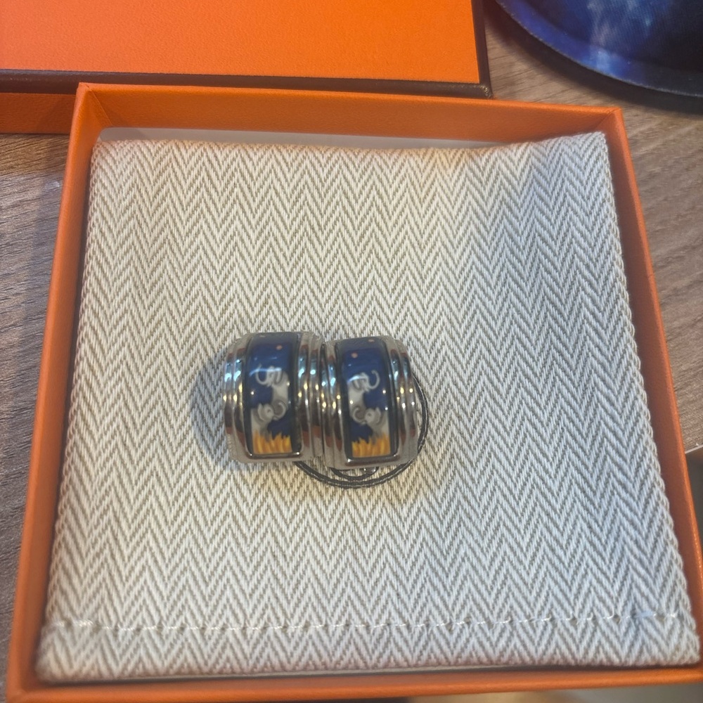 Beautiful Hermes Earrings, in the box - Picture 2 of 5